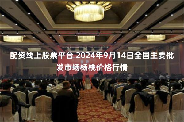 配资线上股票平台 2024年9月14日全国主要批发市场杨桃价格行情