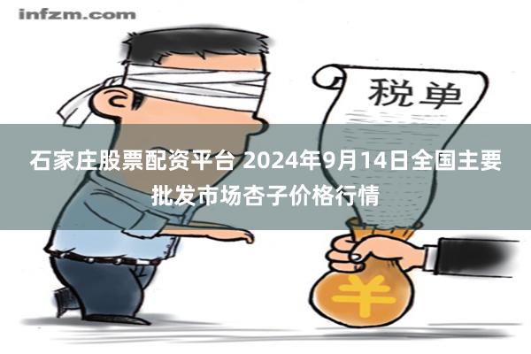 石家庄股票配资平台 2024年9月14日全国主要批发市场杏子价格行情