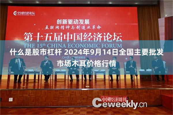 什么是股市杠杆 2024年9月14日全国主要批发市场木耳价格行情