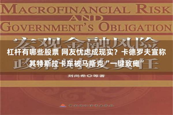 杠杆有哪些股票 网友忧虑成现实？卡德罗夫宣称其特斯拉卡车被马斯克“一键致瘫”