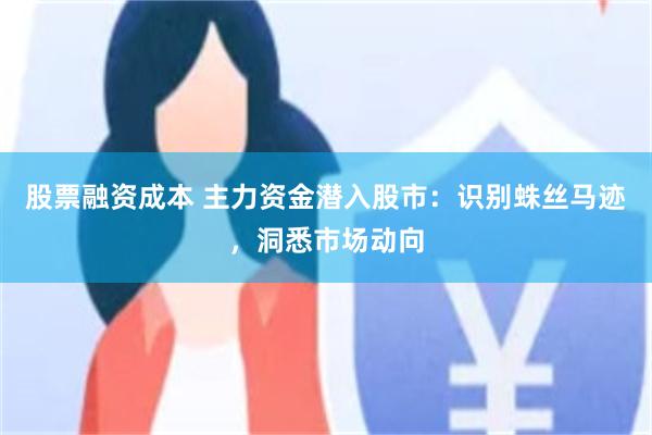 股票融资成本 主力资金潜入股市：识别蛛丝马迹，洞悉市场动向