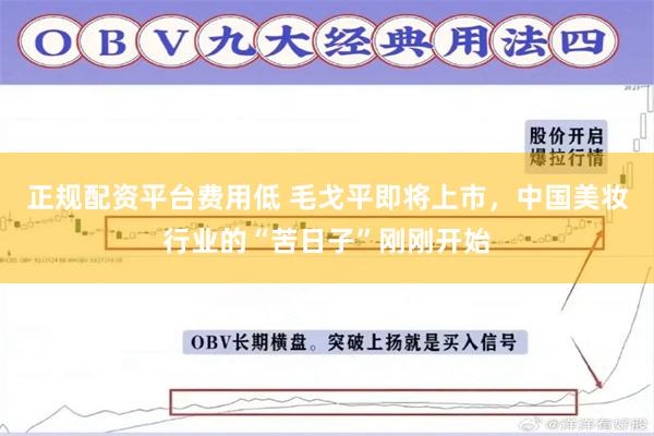 正规配资平台费用低 毛戈平即将上市，中国美妆行业的“苦日子”刚刚开始