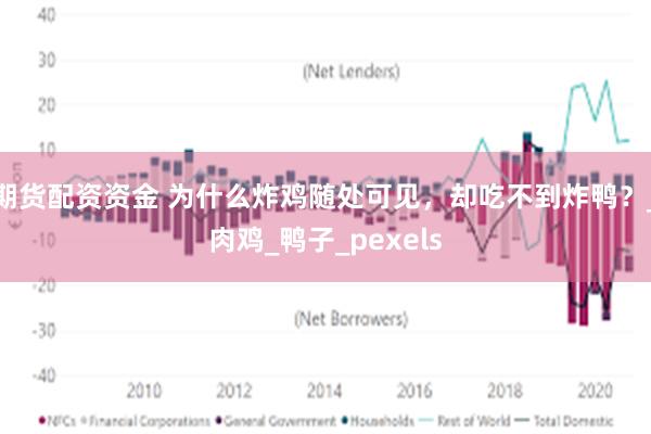 期货配资资金 为什么炸鸡随处可见，却吃不到炸鸭？_肉鸡_鸭子_pexels
