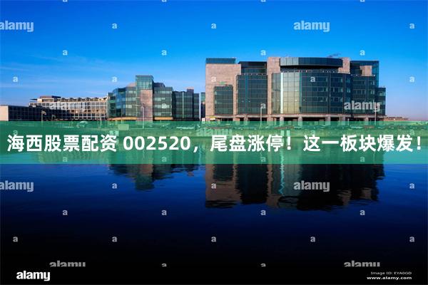 海西股票配资 002520，尾盘涨停！这一板块爆发！